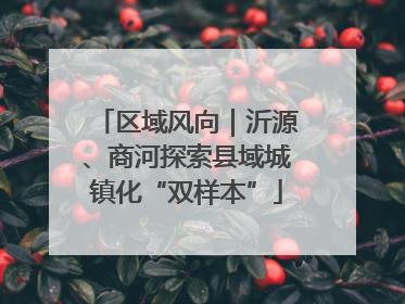 区域风向｜沂源、商河探索县域城镇化“双样本”