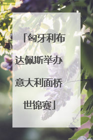 匈牙利布达佩斯举办意大利面桥世锦赛