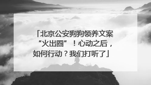 北京公安狗狗领养文案“火出圈”！心动之后，如何行动？我们打听了