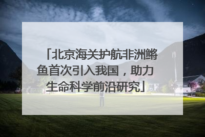 北京海关护航非洲鳉鱼首次引入我国，助力生命科学前沿研究