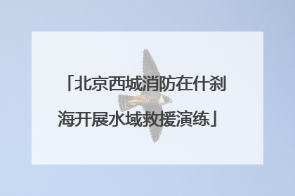 北京西城消防在什刹海开展水域救援演练