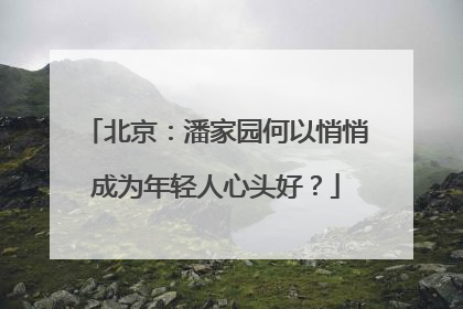 北京：潘家园何以悄悄成为年轻人心头好？