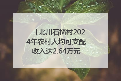 北川石椅村2024年农村人均可支配收入达2.64万元｜新闻发布最前线