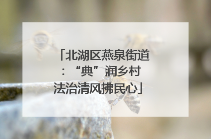 北湖区燕泉街道：“典”润乡村 法治清风拂民心