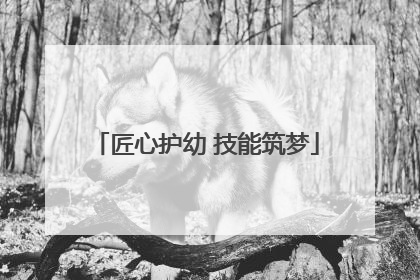匠心护幼 技能筑梦