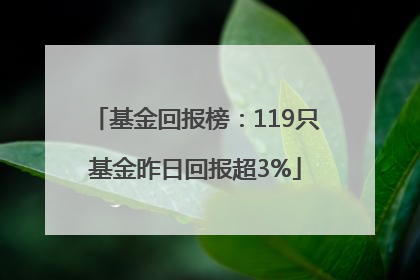 基金回报榜：119只基金昨日回报超3%