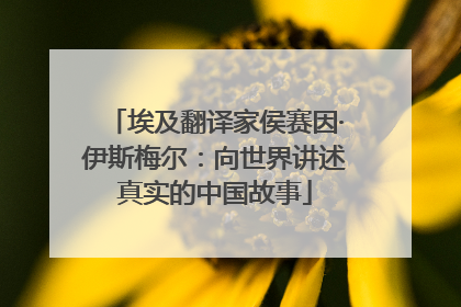 埃及翻译家侯赛因·伊斯梅尔：向世界讲述真实的中国故事