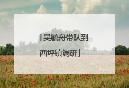 吴毓舟带队到西坪镇调研