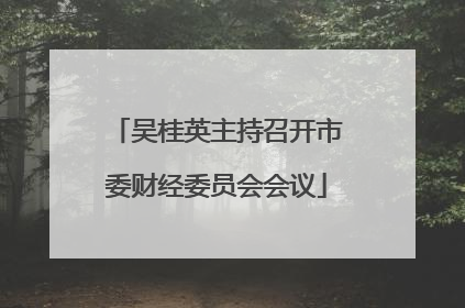吴桂英主持召开市委财经委员会会议