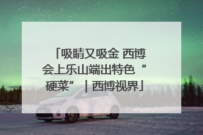 吸睛又吸金 西博会上乐山端出特色“硬菜”｜西博视界
