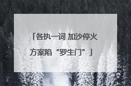 各执一词 加沙停火方案陷“罗生门”