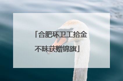 合肥环卫工拾金不昧获赠锦旗