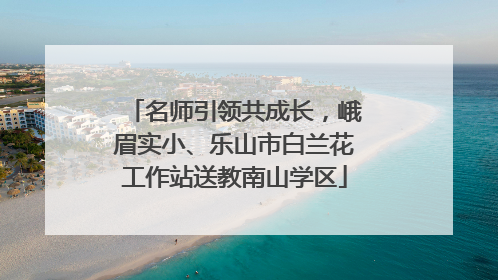 名师引领共成长，峨眉实小、乐山市白兰花工作站送教南山学区