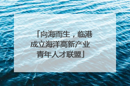 向海而生，临港成立海洋高新产业青年人才联盟
