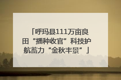 呼玛县111万亩良田“播种收官”科技护航蓄力“金秋丰景”