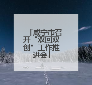 咸宁市召开“双回双创”工作推进会