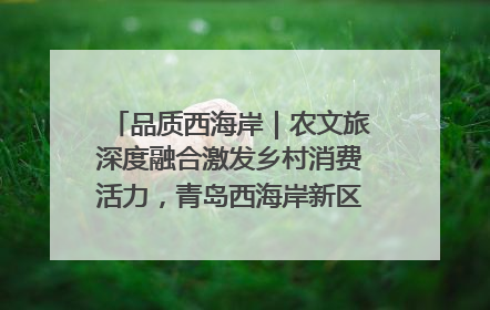 品质西海岸｜农文旅深度融合激发乡村消费活力，青岛西海岸新区的乡村振兴实践