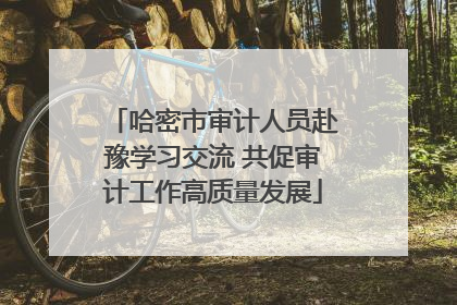 哈密市审计人员赴豫学习交流 共促审计工作高质量发展