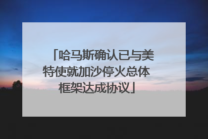 哈马斯确认已与美特使就加沙停火总体框架达成协议