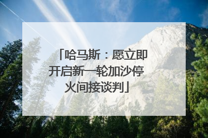 哈马斯：愿立即开启新一轮加沙停火间接谈判