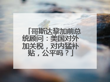 哥斯达黎加前总统顾问：美国对外加关税，对内猛补贴，公平吗？