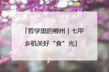 哲学里的郴州｜七甲乡机关好“食”光