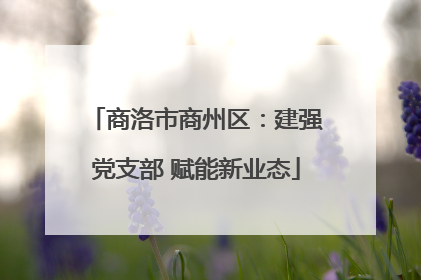 商洛市商州区：建强党支部 赋能新业态
