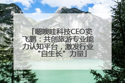 嗯噢哇科技CEO窦飞鹏：共创旅游专业能力认知平台，激发行业“自生长”力量