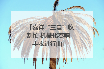 嘉祥“三夏”收割忙 机械化奏响丰收进行曲