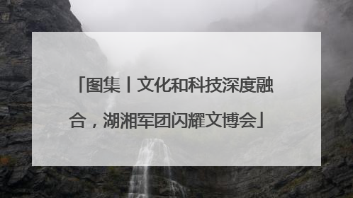 图集丨文化和科技深度融合，湖湘军团闪耀文博会