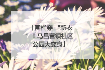 围栏穿 “新衣”！马昌营镇社区公园大变身