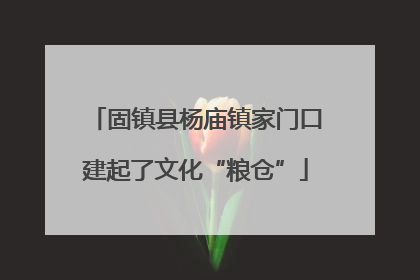 固镇县杨庙镇家门口建起了文化“粮仓”