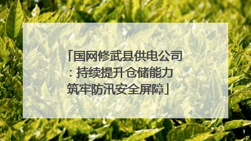 国网修武县供电公司：持续提升仓储能力 筑牢防汛安全屏障