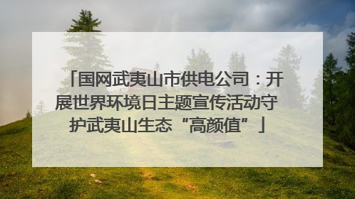 国网武夷山市供电公司：开展世界环境日主题宣传活动守护武夷山生态“高颜值”