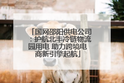 国网邵阳供电公司：护航北丰冷链物流园用电 助力跨境电商新引擎起航
