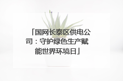 国网长泰区供电公司：守护绿色生产赋能世界环境日