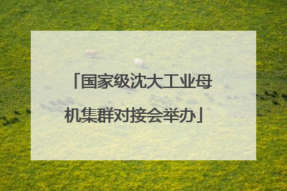 国家级沈大工业母机集群对接会举办