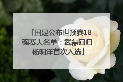 国足公布世预赛18强赛大名单：武磊回归 杨明洋首次入选
