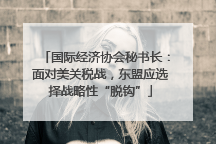国际经济协会秘书长：面对美关税战，东盟应选择战略性“脱钩”