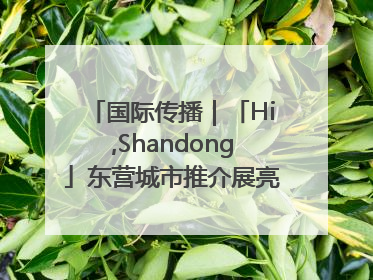 国际传播｜「Hi,Shandong」东营城市推介展亮相“从蒙马特到加里波第”文化节