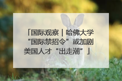 国际观察｜哈佛大学“国际禁招令”或加剧美国人才“出走潮”