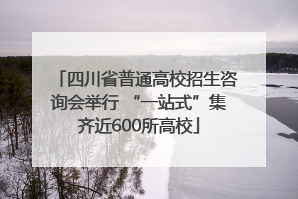 四川省普通高校招生咨询会举行 “一站式”集齐近600所高校