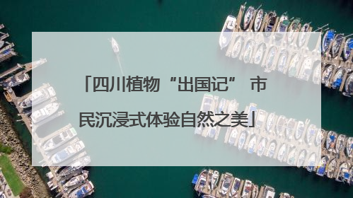四川植物“出国记” 市民沉浸式体验自然之美