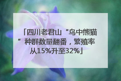 四川老君山“鸟中熊猫”种群数量翻番，繁殖率从15%升至32%
