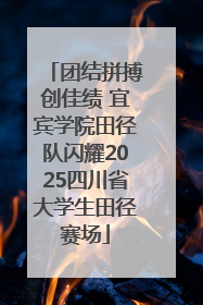团结拼搏创佳绩 宜宾学院田径队闪耀2025四川省大学生田径赛场