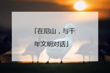 在尼山，与千年文明对话