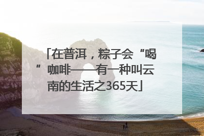 在普洱，粽子会“喝”咖啡——有一种叫云南的生活之365天