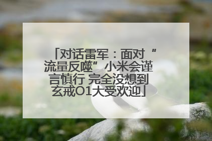 对话雷军：面对“流量反噬”小米会谨言慎行 完全没想到玄戒O1大受欢迎