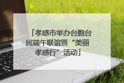 孝感市举办台胞台属端午联谊暨“美丽孝感行”活动