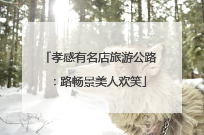 孝感有名店旅游公路：路畅景美人欢笑